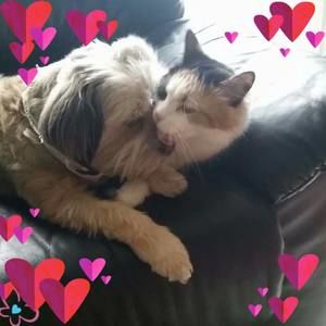 Meet your Posher, Pam